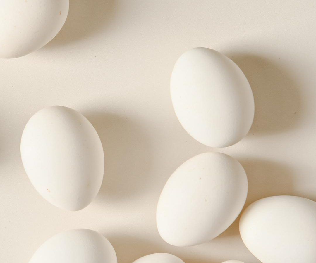 Te contamos todo lo que tienes que saber sobre las proteínas