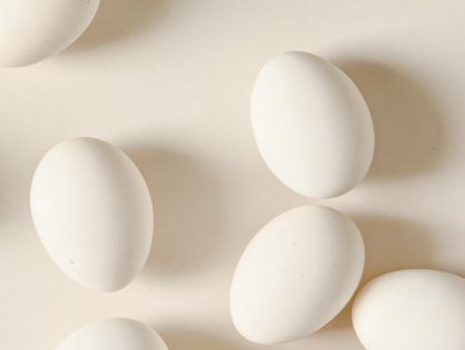 Te contamos todo lo que tienes que saber sobre las proteínas