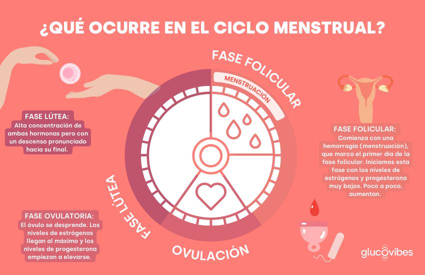 Resistencia a la insulina durante el ciclo menstrual