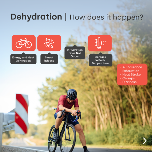 factoreslimitantes1-en-07