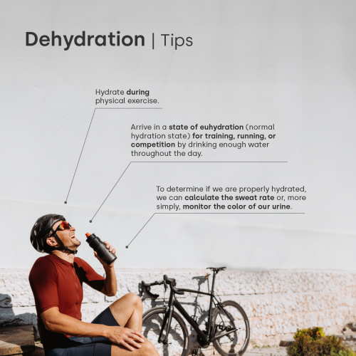 factoreslimitantes1-en-08